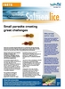 faktaark_salmonlice_2011_ENG.pdf (thumbnail)
