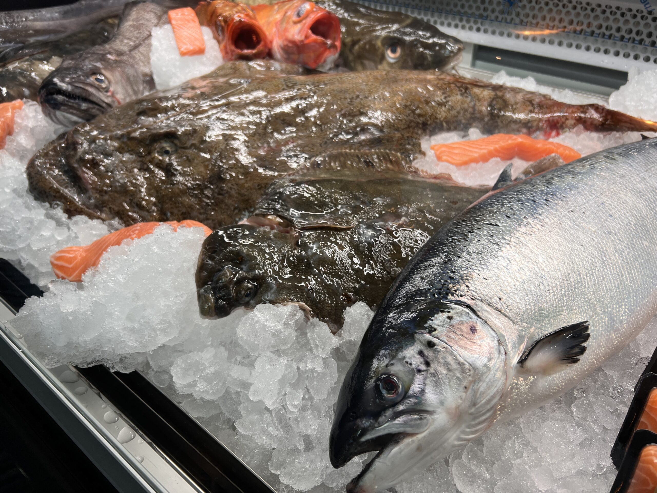 Sjomatnorge.no Norway Seafood Festival - Sjomatnorge.no