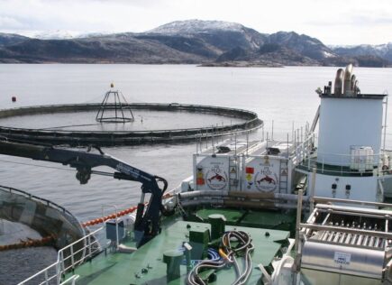 Avlustning med hydrogenperoksid i brønnbåt. Foto: Sjømat Norge